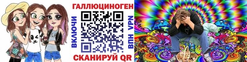 Псилоцибиновые грибы Cubensis  Купить закладки  Александров 