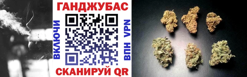 Купить  Александров  Бошки Шишки MAZAR 